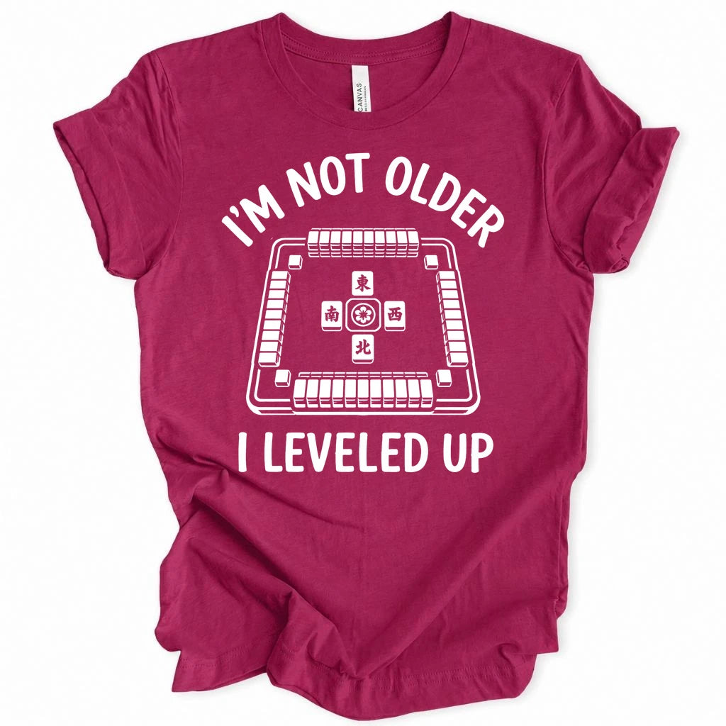 I'm not older I leveled up T-shirt